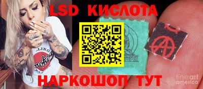 a pvp Можга
