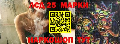 Альфа ПВП Малгобек