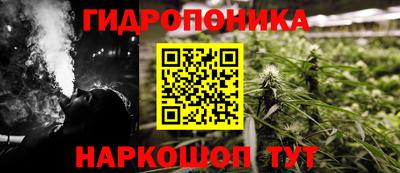 Альфа ПВП Малгобек