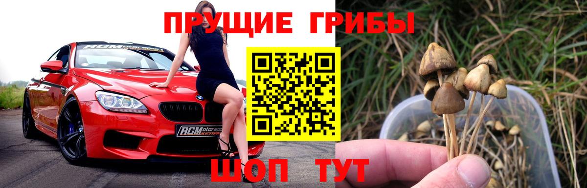 Советская Гавань  Псилоцибиновые грибы Psilocybine cubensis  Вход с VPN 