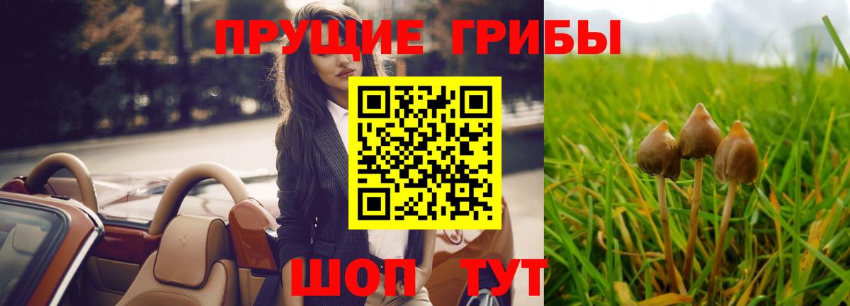 Псилоцибиновые грибы Magic Shrooms Советская Гавань